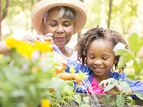 Grandmother gardening with granddaughter.>